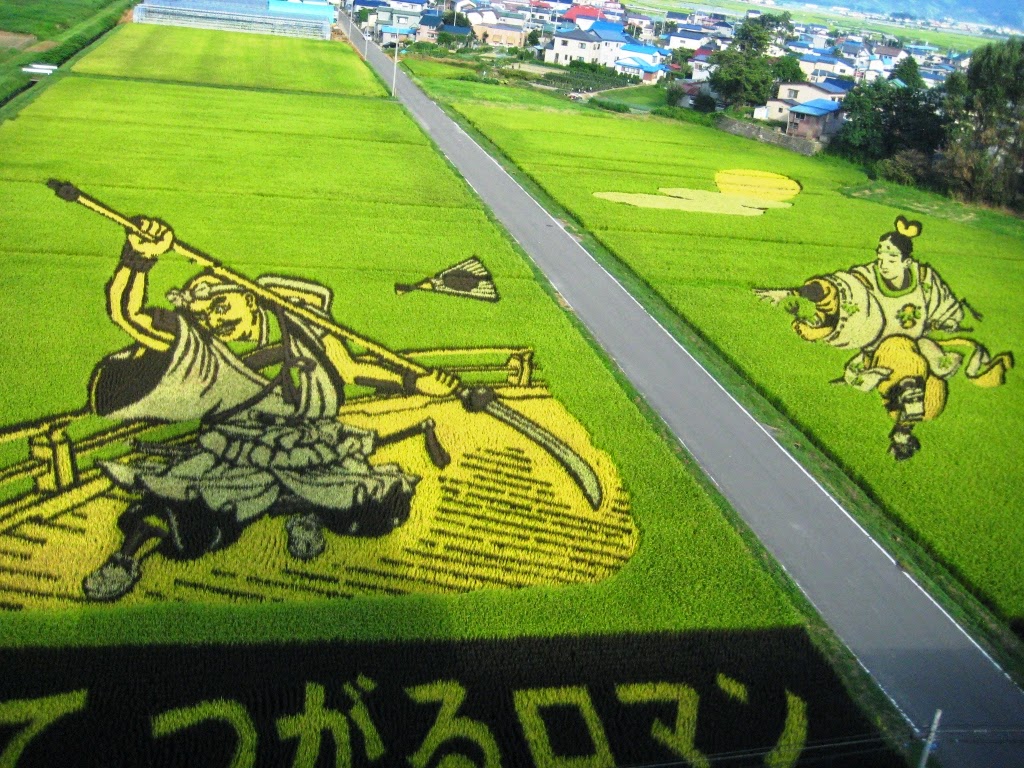 rice paddy art