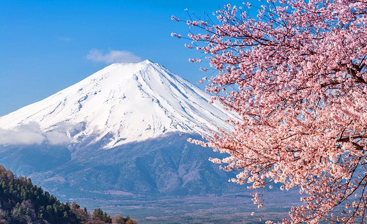 Mt Fuji